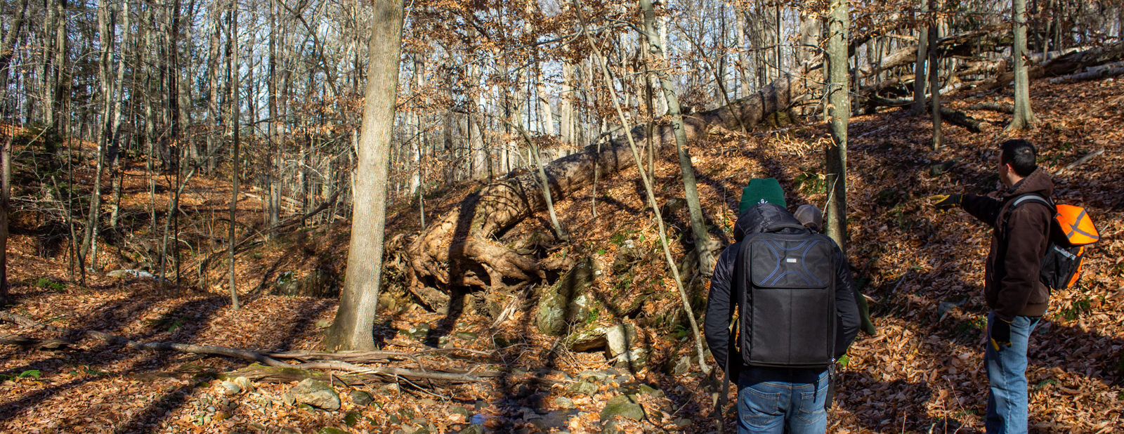 Nature Preserve Monitoring Blitz - Sunday